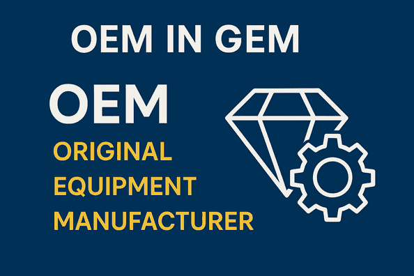 What is OEM in Gem 2025