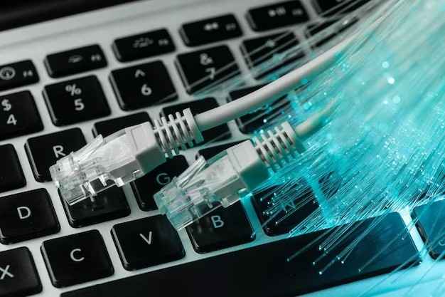 IT and Telecommunications Industry